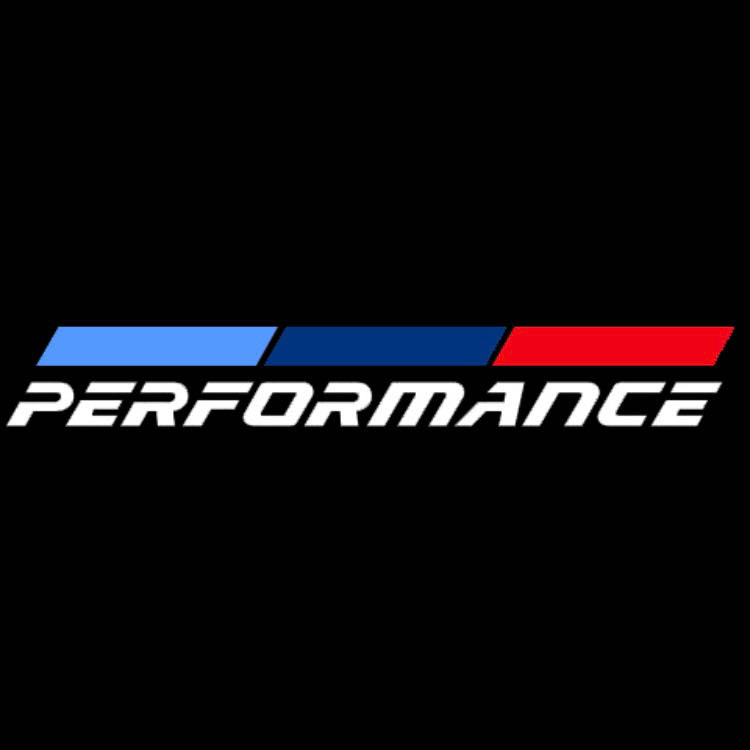 LUCI BMW M PERFORMACE LOGO PROJECTOT Nr.12 (quantità 1 = 1 set/2 luci porta)