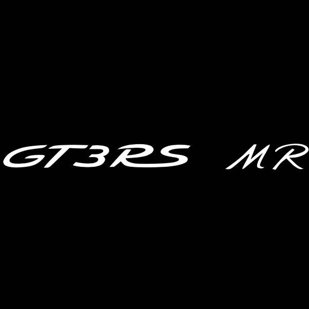 PORSCHE GT LOGO PROJECTOT LIGHTS Nr.8097 (Menge 1 = 2 Logofolie / 2 Türleuchten)