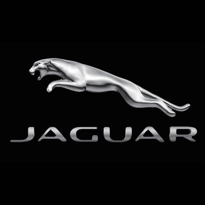 JAGUAR Original LOGO PROJECROTR LIGHTS Nr.03 (quantità 1 = 1 set/2 luci porta) 