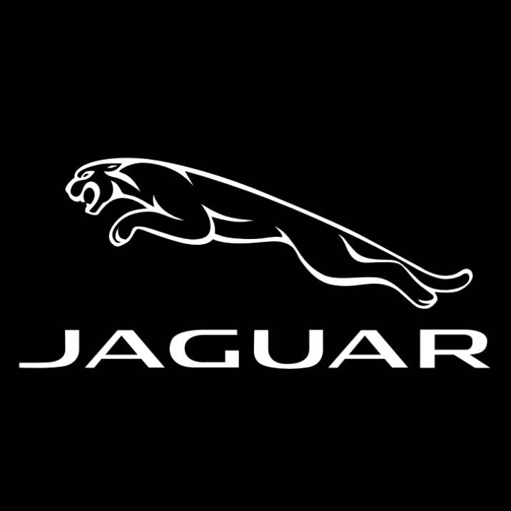 JAGUAR Original LOGO PROJECROTR LIGHTS Nr.04 (quantità 1 = 1 set/2 luci porta)