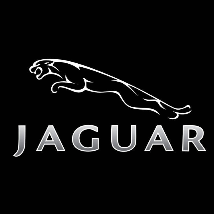 JAGUAR Original LOGO PROJECROTR LIGHTS Nr.05 (quantità 1 = 1 set/2 luci porta)