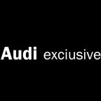 AUDI  EXCLUSIVE LOGO PROJECTOT LIGHTS Nr.73  (quantity 1 = 2 Logo Films /2 door lights）