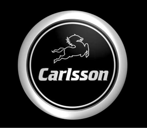 MERCEDES BENZ CARLSSON LOGO PROJECTOT LIGHTS Nr.29 (Menge 1 = 1 Satz/2 Türleuchten)