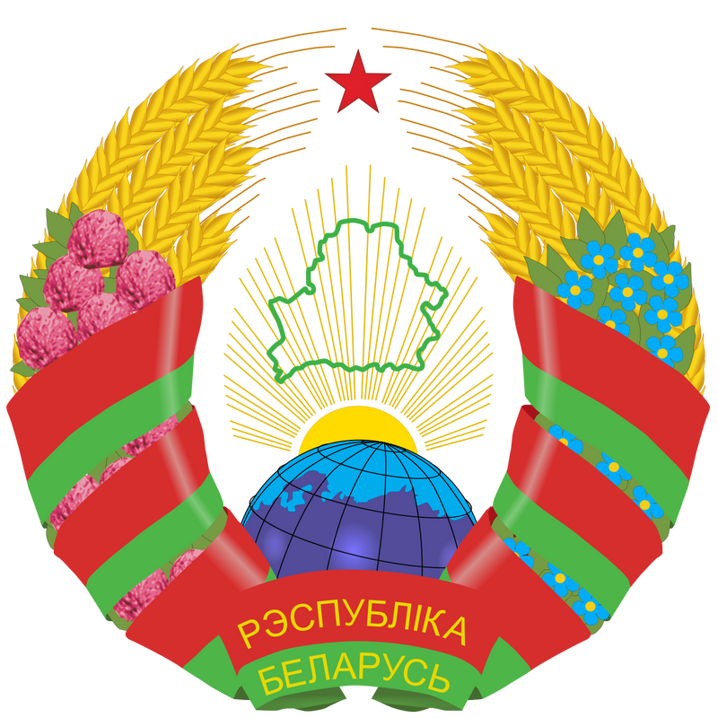 Logo della bandiera nazionale della Bielorussia Беларусь (quantità 1 = 1 set / 2 pellicole con logo / Può sostituire le luci di altri loghi) 