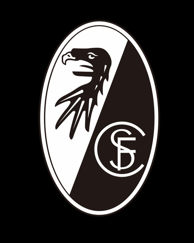 Football CLUB Logo Nr.258  (quantity 1 = 2 Logo Films /2 door lights）