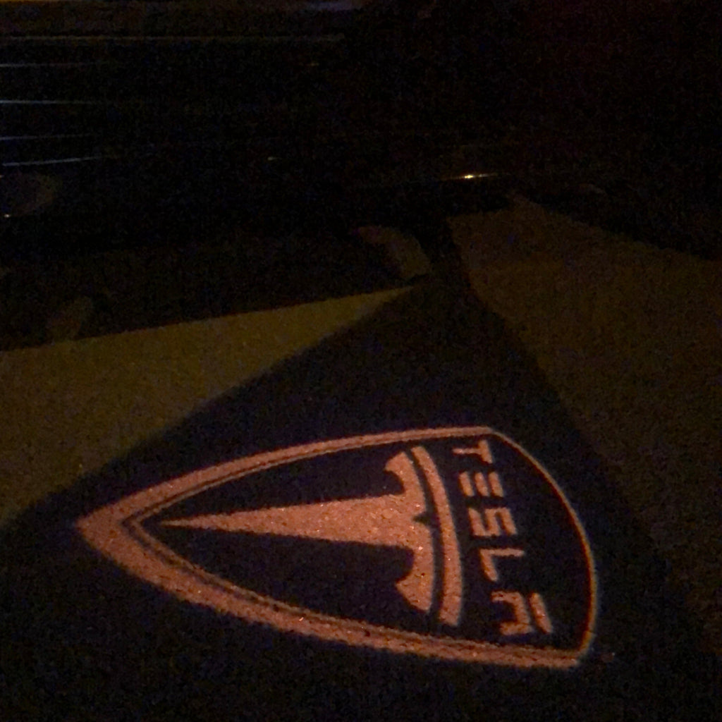 TESLA LOGO PROJECROTR LIGHTS Nr.1507 (quantity  1 =  2 Logo Film /  2 door lights)