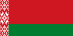 Belarus Беларусь  National Flag  logo door lights (quantity 1 = 1 sets / 2 logo film /  Can replace of lights  other logos )