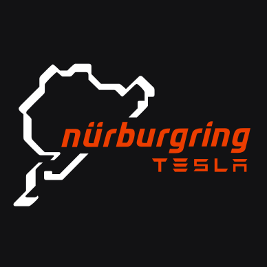 LOGO TESLA NÜRBURGRING Nr. 1528 (quantità 1 = 1 set/2 luci porta)