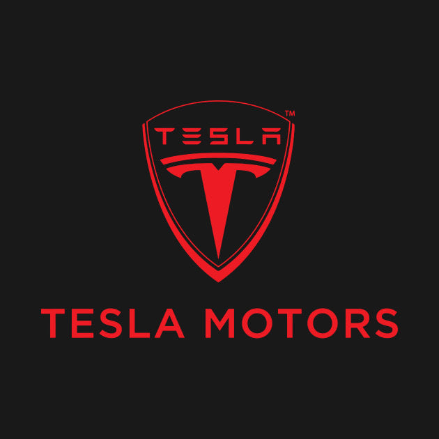 TESLA LOGO PROJECROTR LIGHTS Nr.1514 (quantity  1 =  2 Logo Film /  2 door lights)