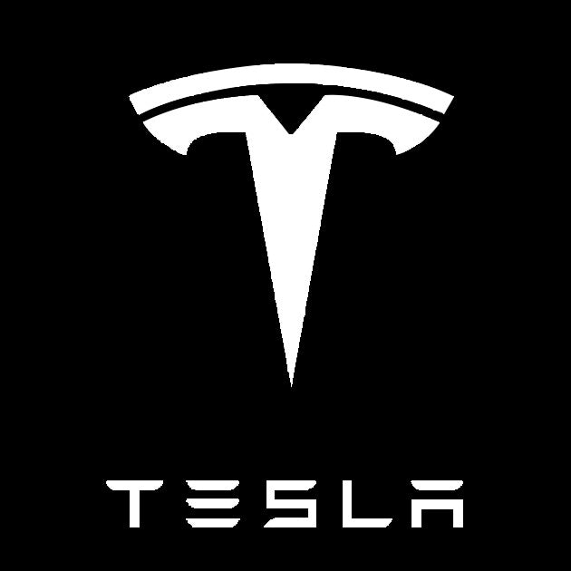 TESLA LOGO PROJECROTR LIGHTS Nr.1501 (quantità 1 = 2 pellicole logo / 2 luci per porta)