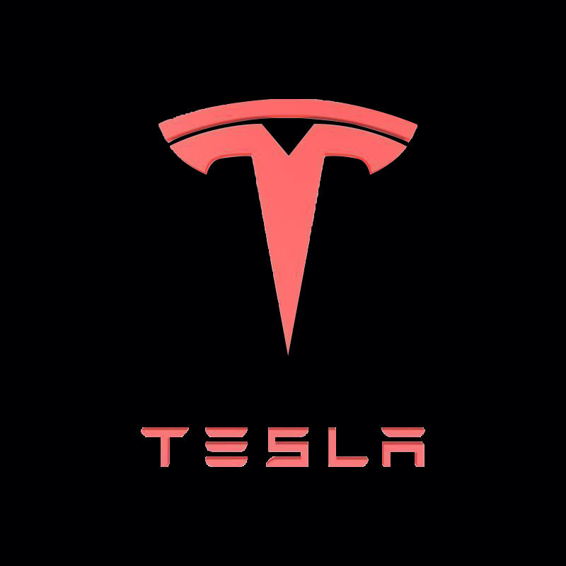 TESLA LOGO PROJECROTR LIGHTS Nr.1513 (Menge 1 = 2 Logofolie / 2 Türleuchten)