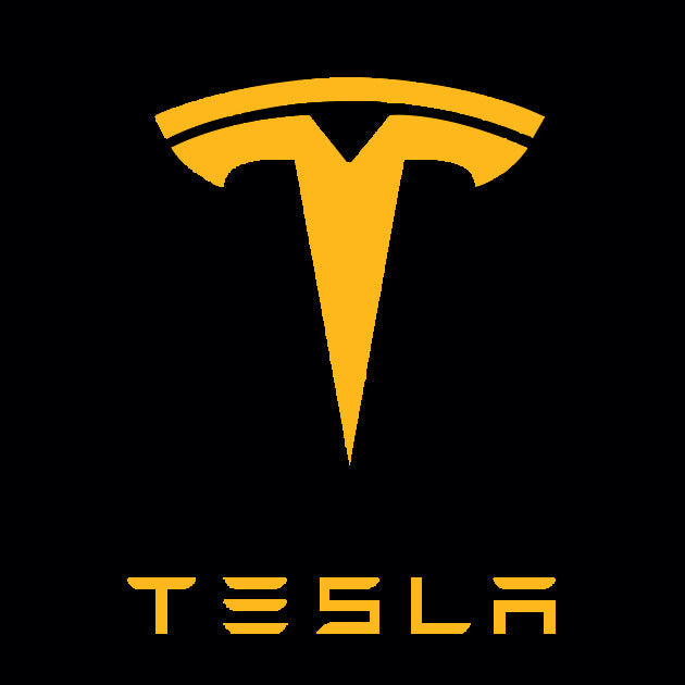 TESLA LOGO PROJECROTR LIGHTS Nr.1512 (quantità 1 = 2 pellicole logo / 2 luci per porta)