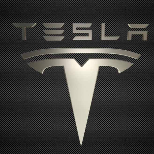 TESLA LOGO PROJECROTR LIGHTS Nr.1510 (Menge 1 = 2 Logofolie / 2 Türleuchten)