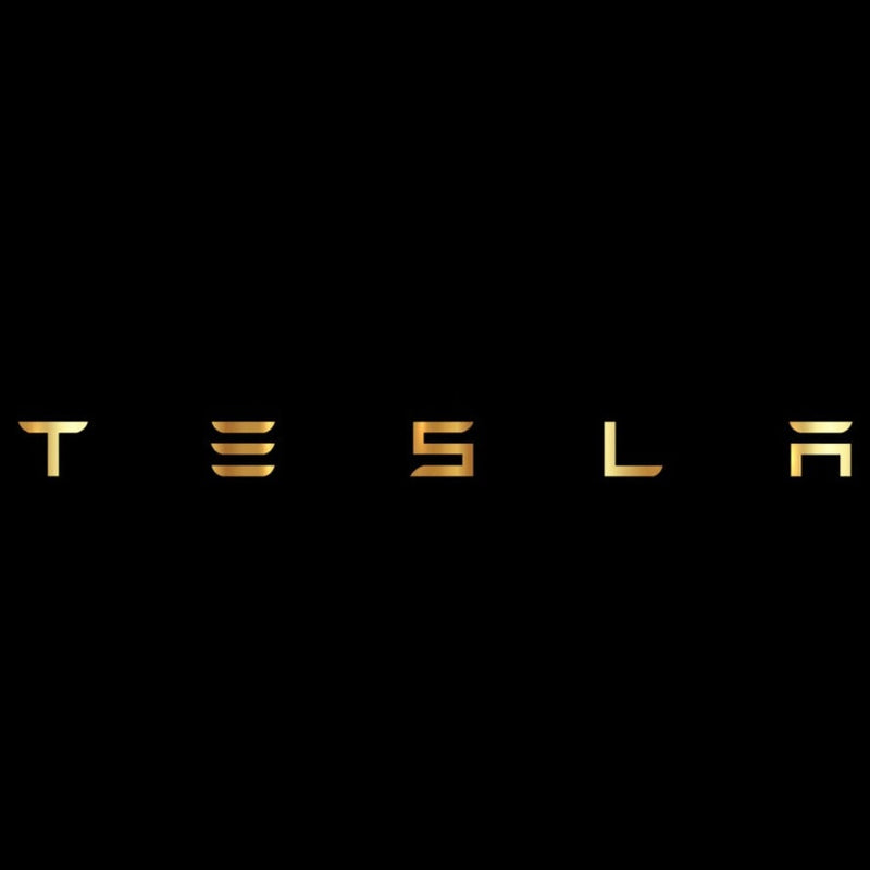 TESLA LOGO PROJECROTR LIGHTS Nr.1516 (quantità 1 = 2 pellicole logo / 2 luci per porta)