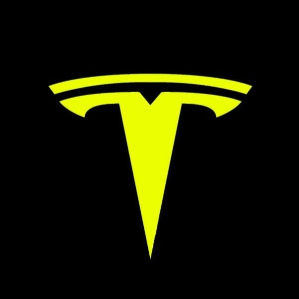 TESLA LOGO PROJECROTR LIGHTS Nr.1519 (quantity  1 =  2 Logo Film /  2 door lights)