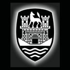 Volkswagen Door lights WOLFSBURG  Logo  Nr. 168 ( quantity 1 = 2 logo film / 2 door lights)