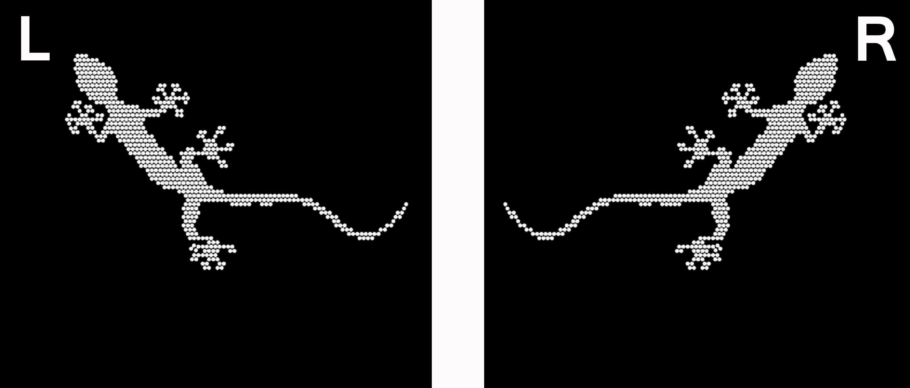 AUDI QUATTRO GECKO LOGO PROJECTOT LIGHTS Nr.67  (quantity 1 = 2 Logo Films /2 door lights）