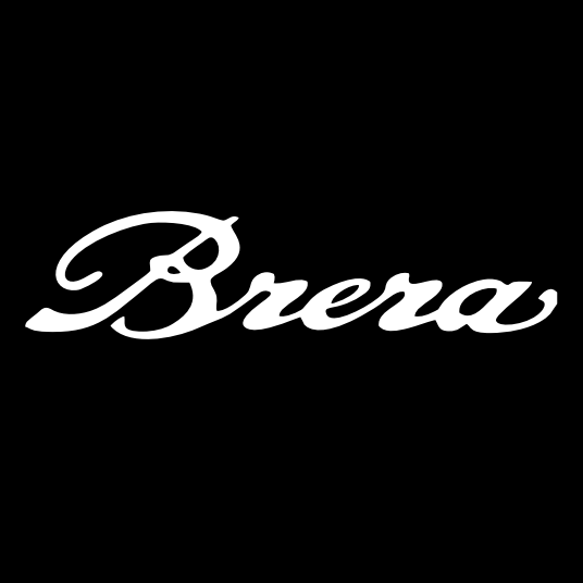 Alfa Romeo BRERA  LOGO PROJECTOT LIGHTS Nr.102 (quantity  1 =  2 Logo Film /  2 door lights)