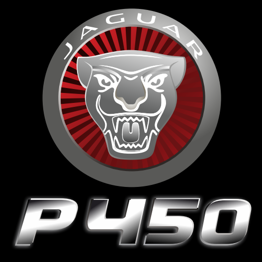 JAGUAR P 450 LOGO PROJECROTR LIGHTS Nr.95  (quantity 1 = 1 sets/2 door lights)
